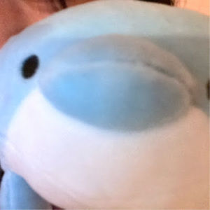 Meet your Posher, Sydney